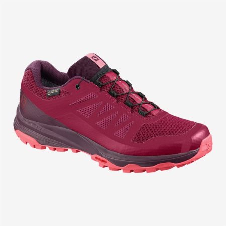 Zapatillas Trail Running Salomon XA DISCOVERY GTX W Mujer Rojas (ES-WCDB)